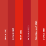 kit Pigmenti per labbra INTENSE LIP - immagine 2