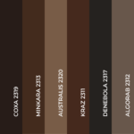 kit Pigmenti per sopracciglia MORE o SCURE - immagine 2